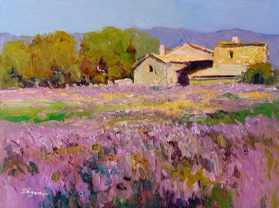 Lavender, French Village