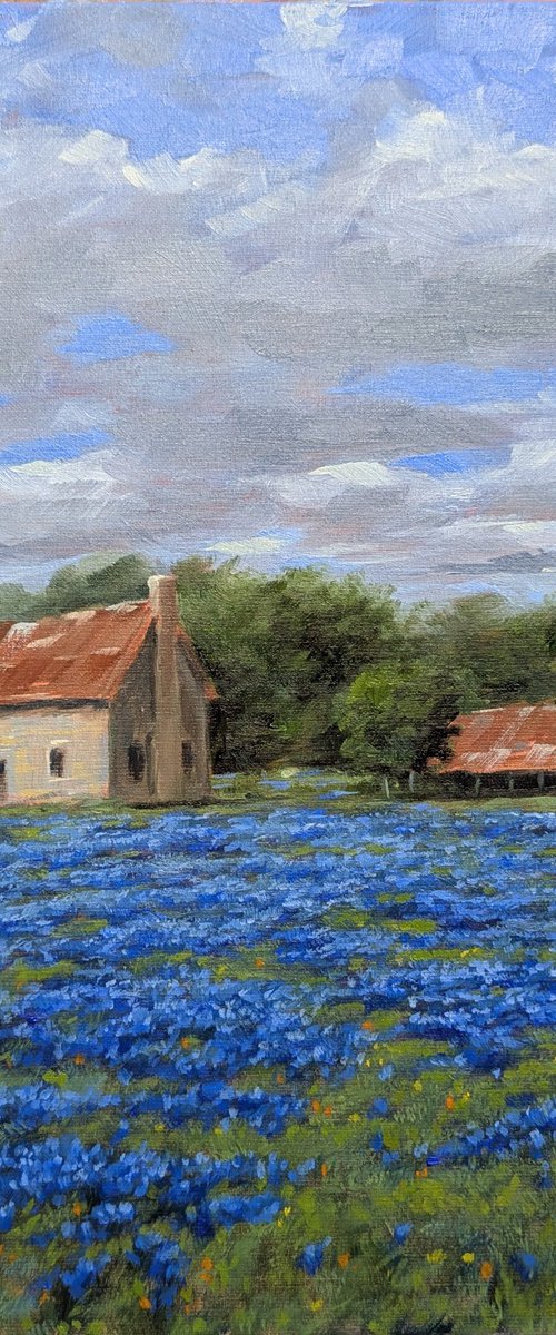 The Bluebonnet House by JC Burleson