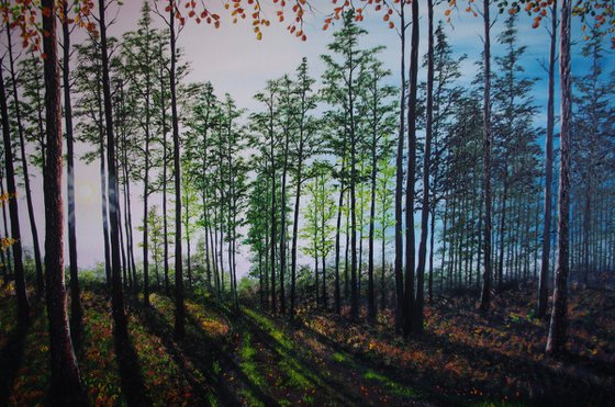 Startling Afternoon shadows.