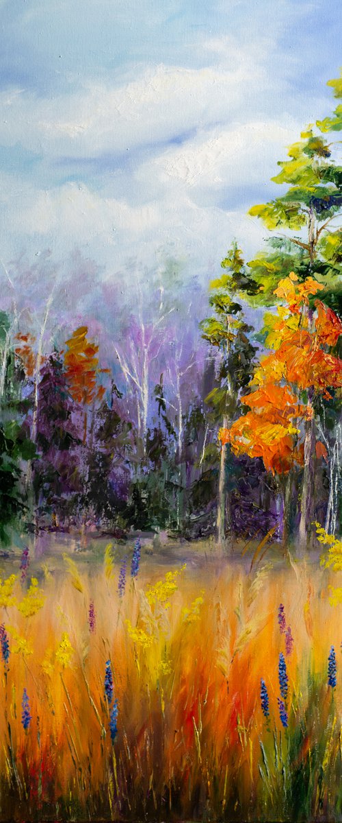 Fall forest by Galyna Shevchencko