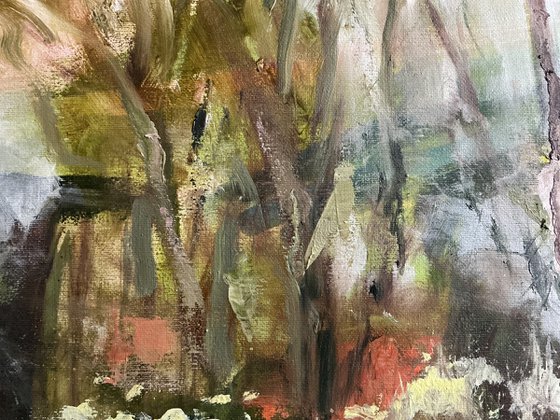 December from the Window