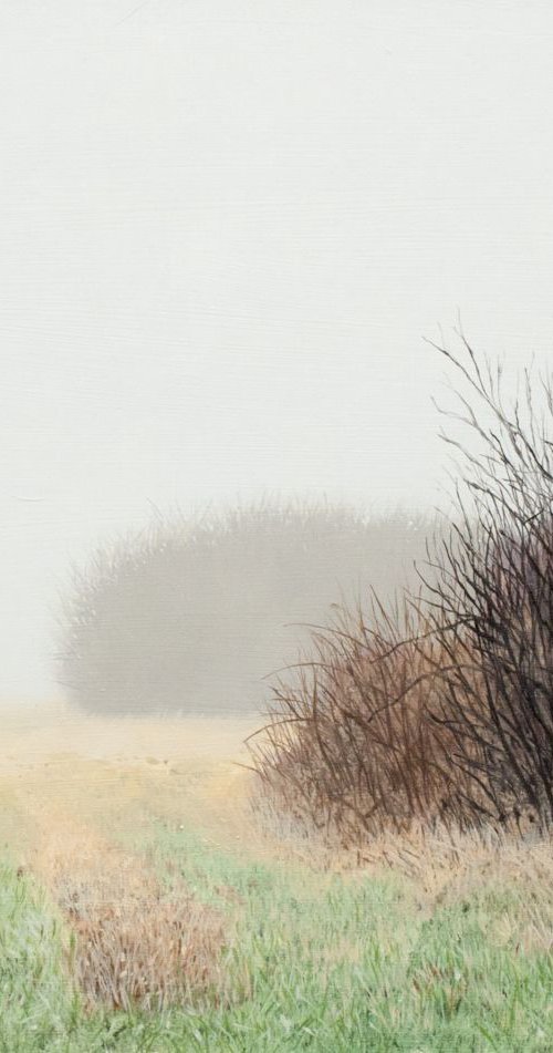 Meadow Mist by Christopher Witchall