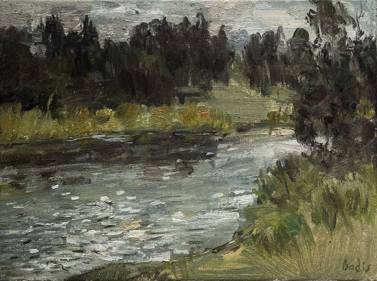 Impressionistic Landscape Oil Painting By Bohdan Dobrivskyi, 16 X 12, During The Rain, Original Artwork