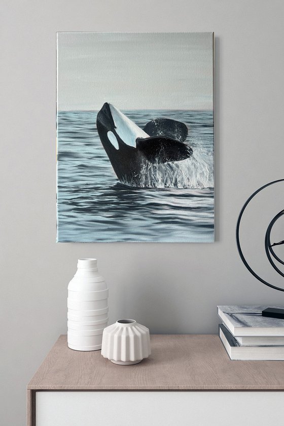 Smiling Orca