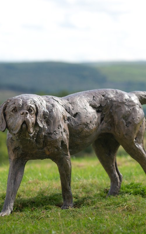 St Bernard Bronze Resin Sc by Tanya Russell