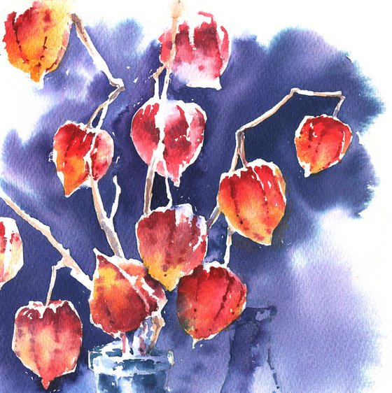 Physalis branches