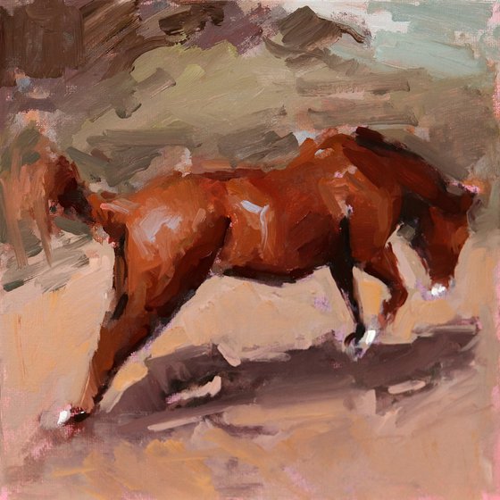 Toffee Horse Study
