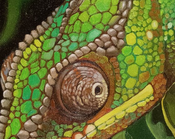 Chameleon portrait