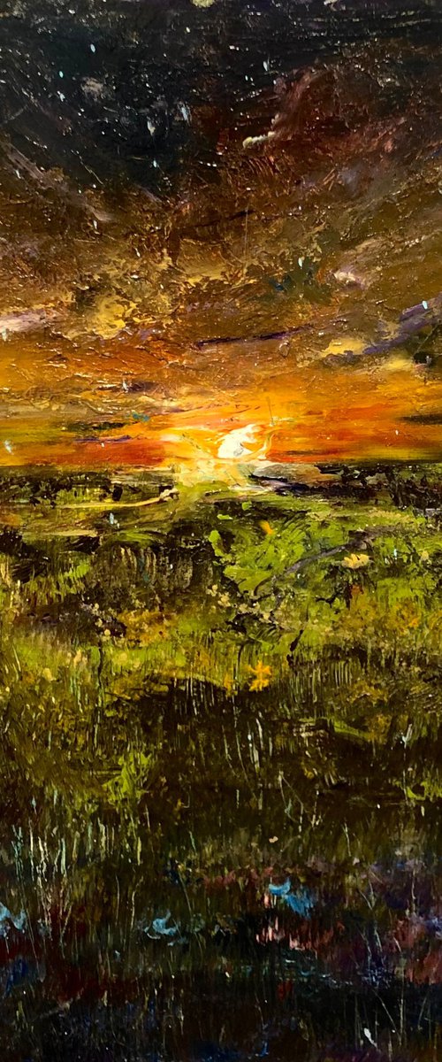 Meteor shower by Snezana Djordjevic