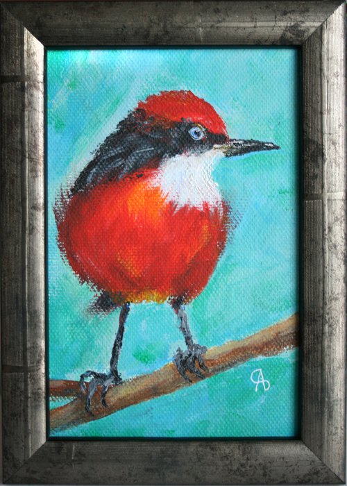 BIRD I. CRIMSON CHAT framed / FROM MY A SERIES OF MINI WORKS BIRDS / ORIGINAL PAINTING by Salana Art Gallery