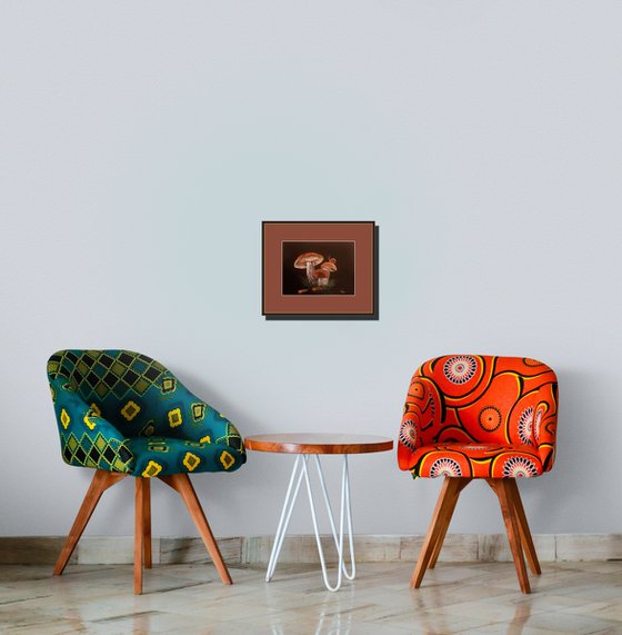 Family of mushrooms at Dusk