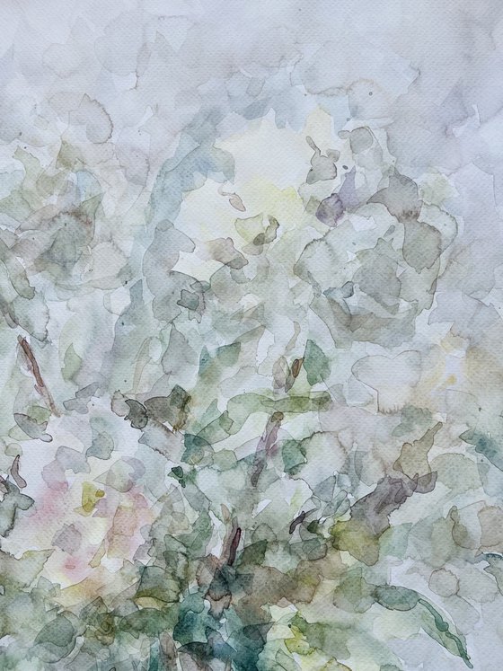Peonies 50x65 cm 2025