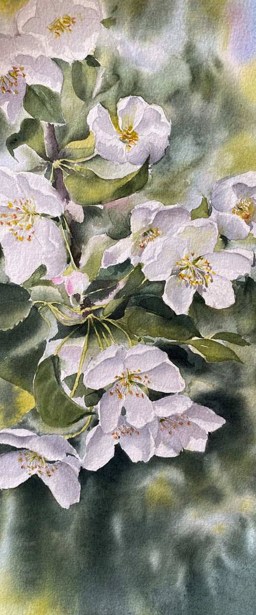 Apples blossom, original art by Natalia Butenko