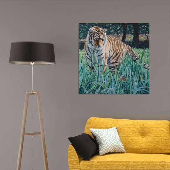 Amur Tiger - First Encounter