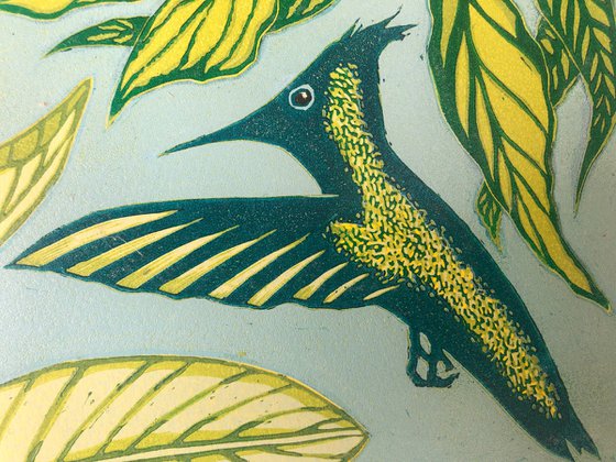 Two Hummingbirds