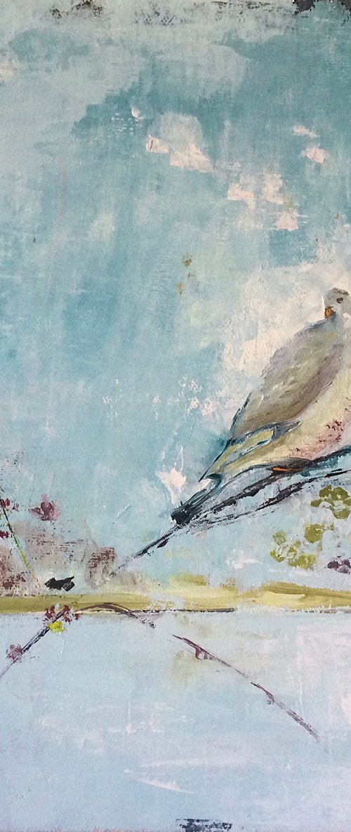 Portrait of a Pigeon by Rebecca Pells