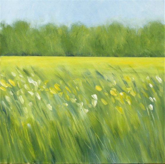 Surrey Landscape - Rapeseed Field