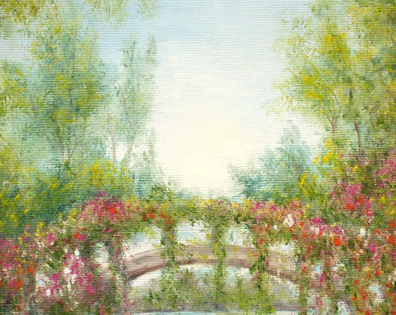 Water lily pond