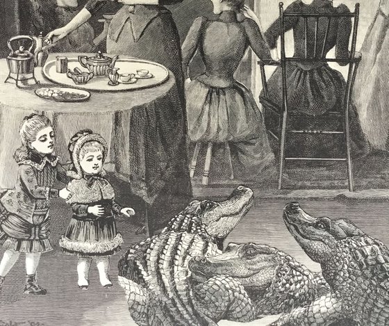 Crocodile Tea