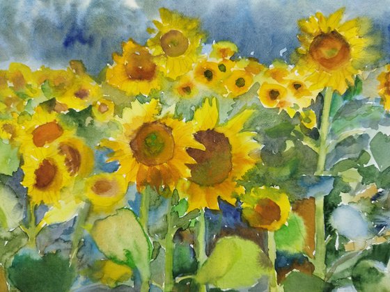 Landscape with sunflowers