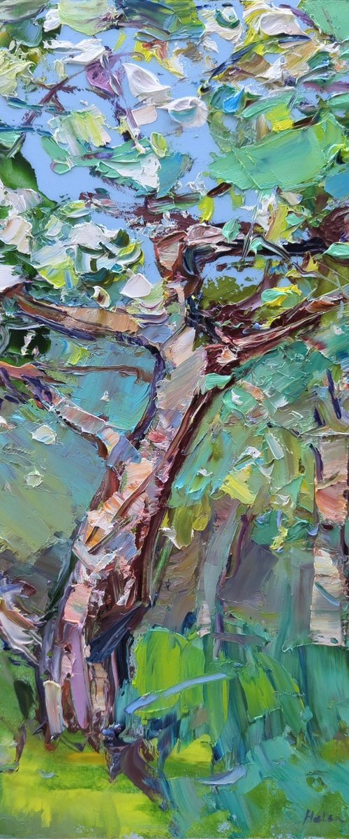 Apple tree blossom by Helen Shukina