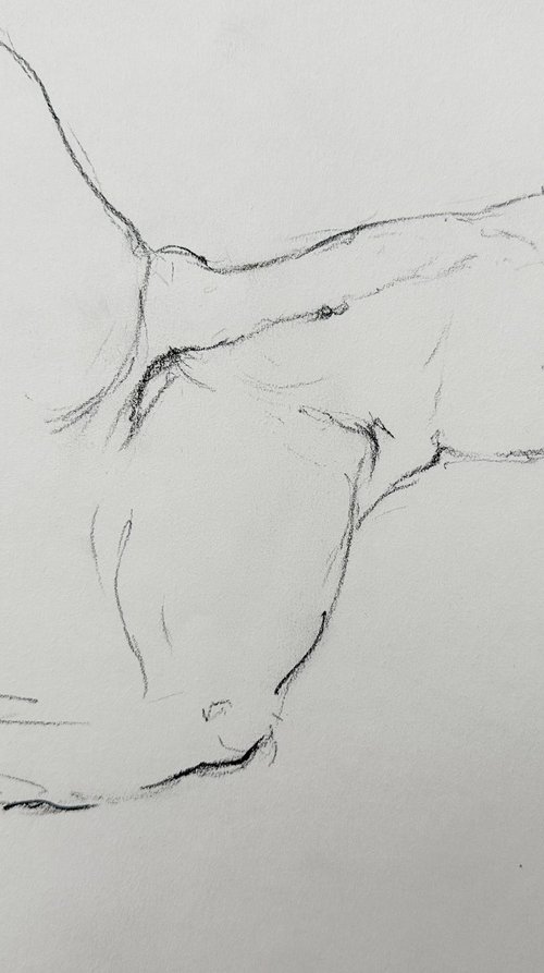 nude drawing 6 by Anna Bogushevskaya