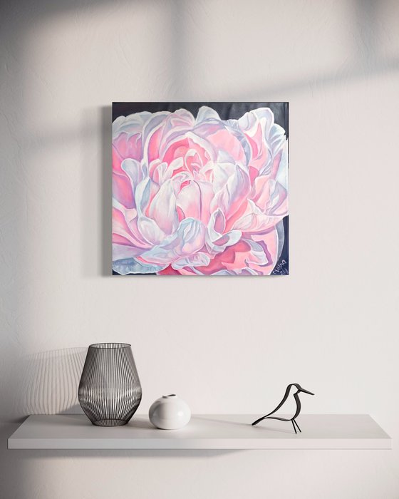 Pink peony