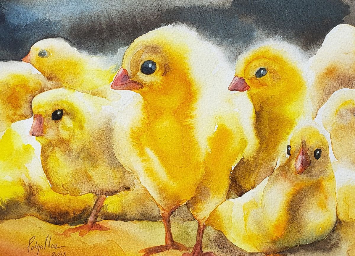 Young chickens by Polina Morgan