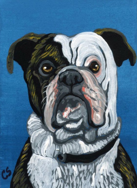 ACEO ATC Original Painting Brindle Olde English Bulldogge Dog Pet  Art-Carla Smale