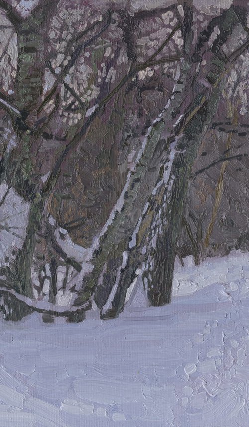 February. Alley in Tsaritsyno Park by Simon Kozhin