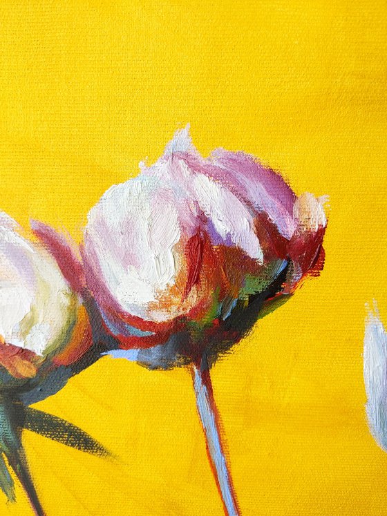 Peonies on the golden yellow