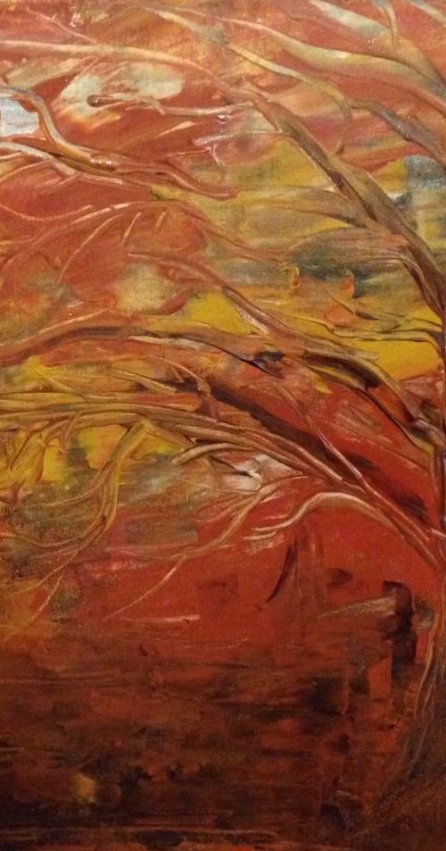 Outback by Carol Zsolt