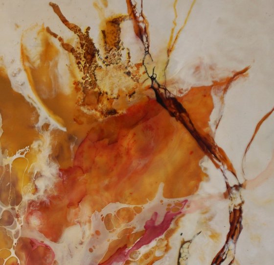 Combustion Field