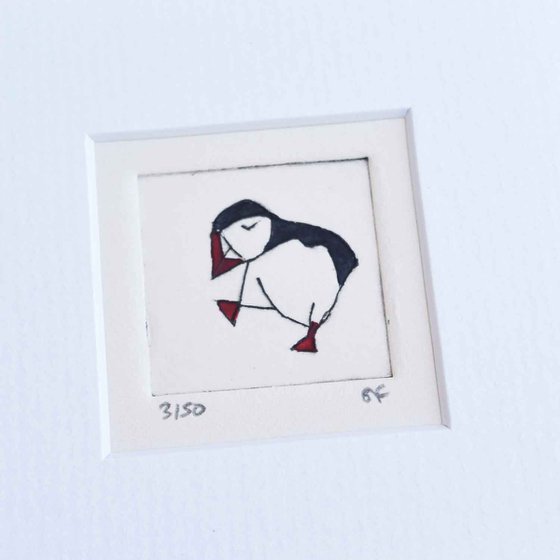 Mini framed puffin facing left