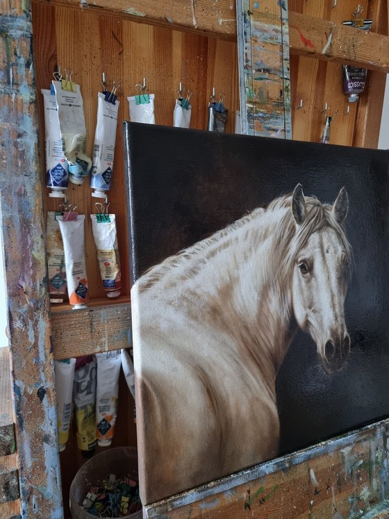 Horse portrait in monochrome