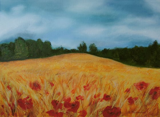 Wheatfield with poppies 1
