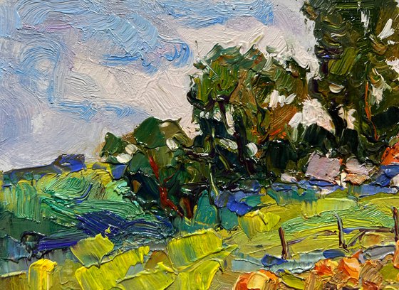 There are pumpkins growing