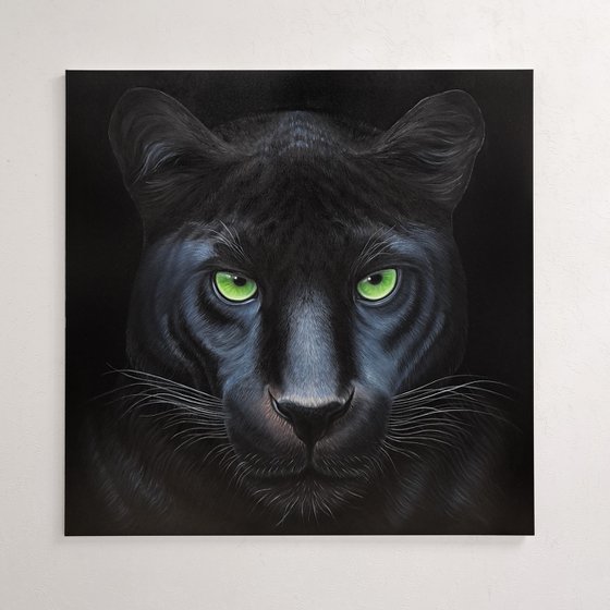 Portrait of black panther