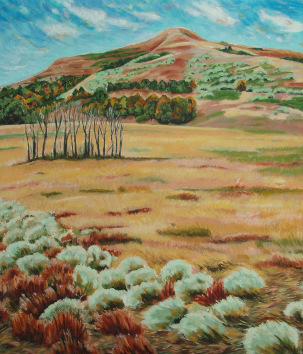 Dakota Territory By Lorie Schackmann, 28 X 32, Artwork For Sale On Artfinder