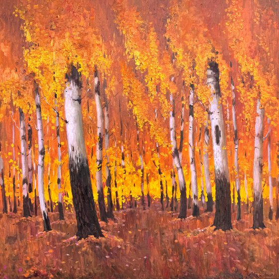 Autumn Birch Forest