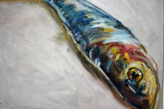 Single Sardine