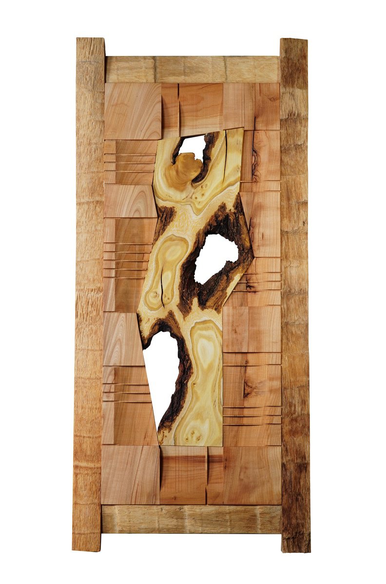 Organic Abstract Relief By Sava Draganov, 16 X 35", "Authentic", Original Artwork