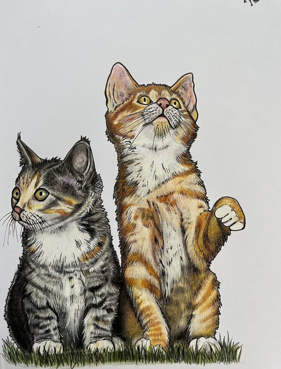 Two kittens