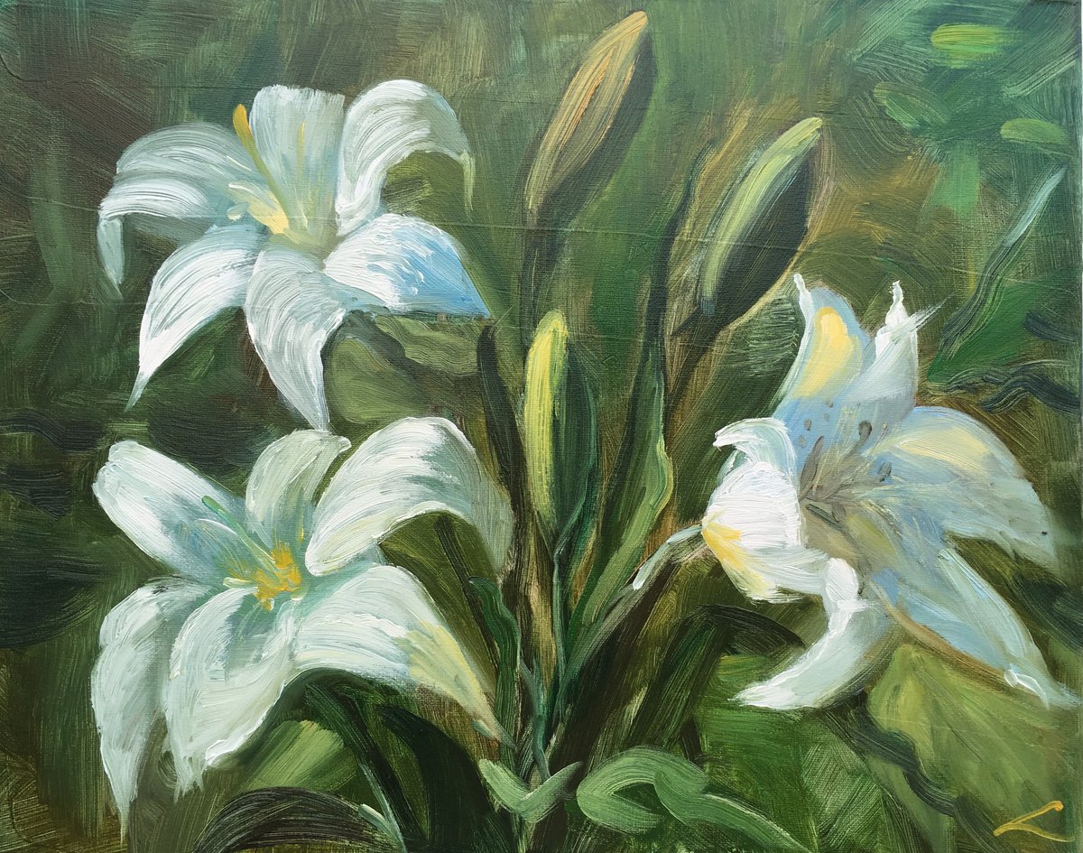 Impressionistic Botanical Oil Painting By Elena Sokolova, 20 X 16, White Lilies 2, Original Artwork