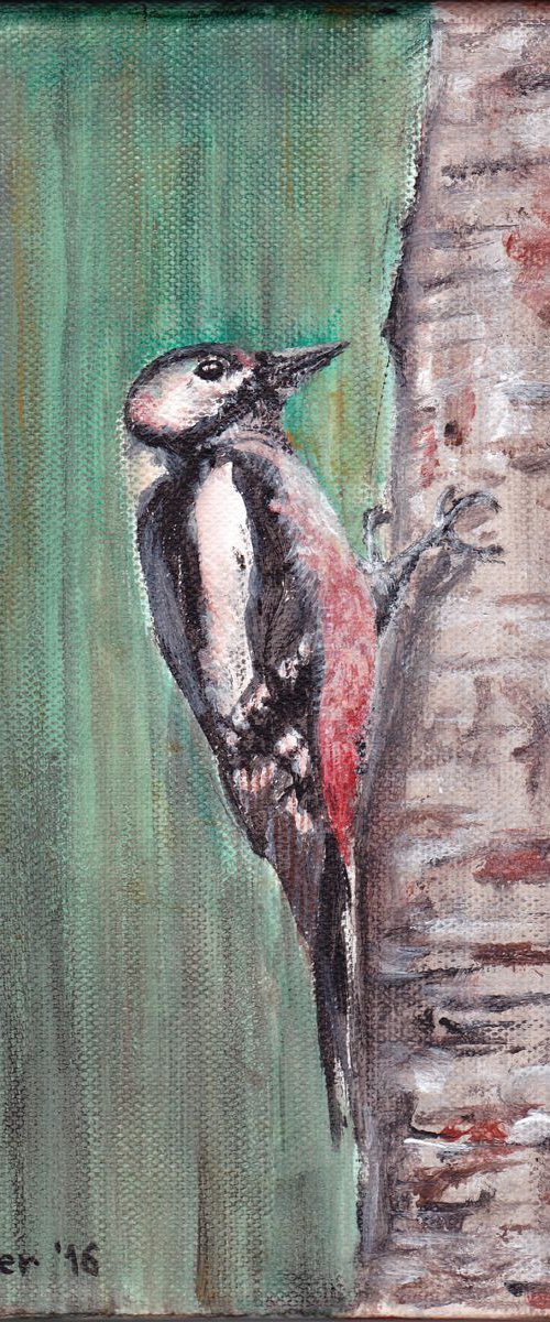 Woodpecker. Acrylic on canvas by Yulia Schuster