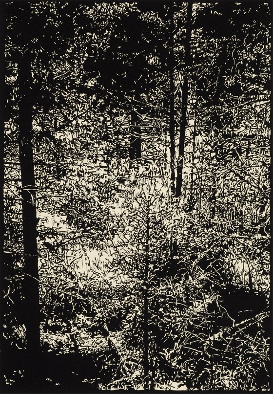 THICKET / PECOS