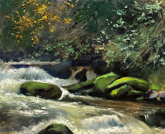The river Lyn - plein air painting