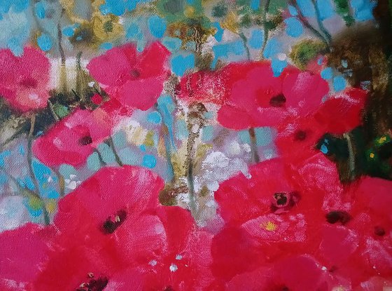 Poppies in the Field