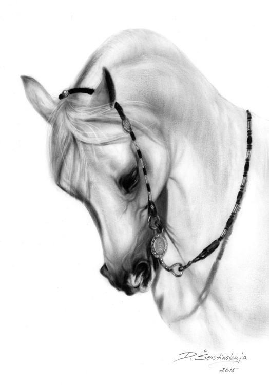 Arabian Horse Painting By Danguole Serstinskaja Artfinder