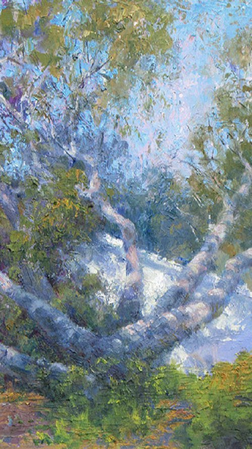 The Wild Oak by Susan Sarback
